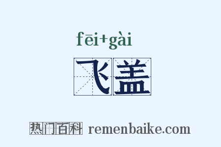 飞盖是什么意思的图片
